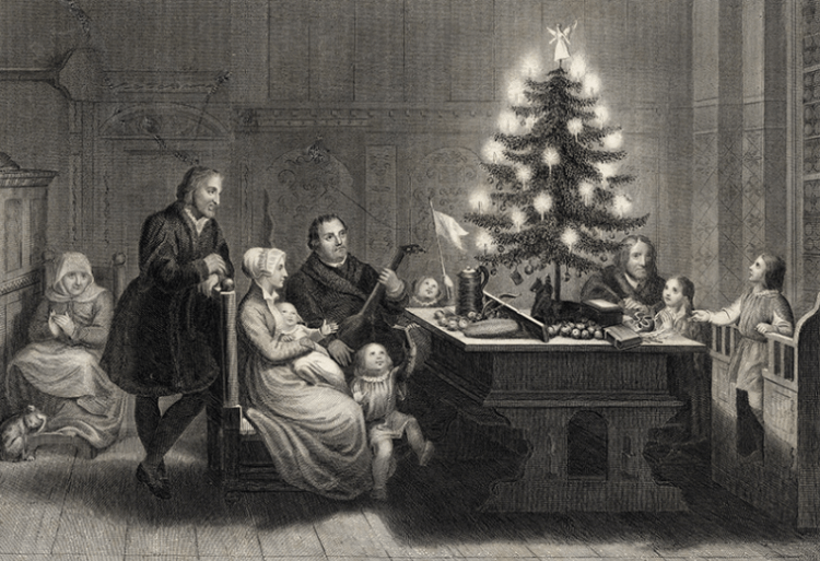 Почему на новый год и Рождество мы устанавливаем елку. Согласно одной из версий, первым принес в дом елку и нарядил ее Мартин Лютер. Фото.