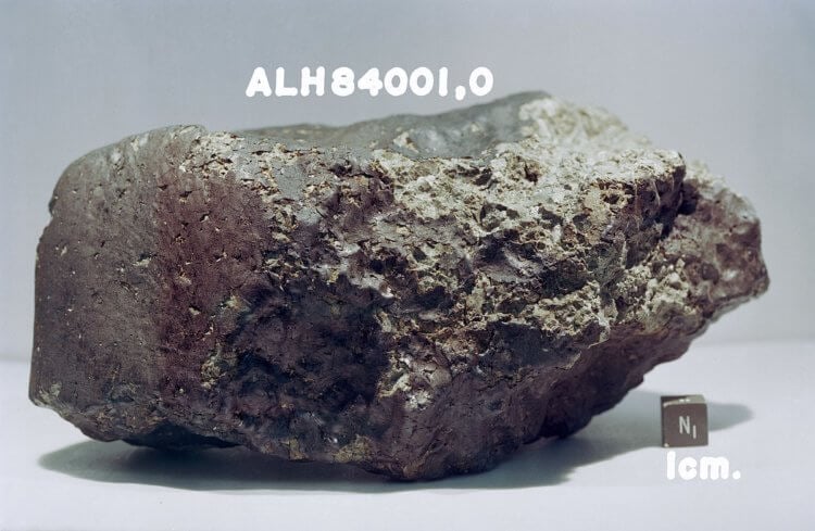 Астероид с Марса рассказал о магнитном поле. Метеорит Аллан Хиллс 84001, который был обнаружен в Антарктиде. Фото.
