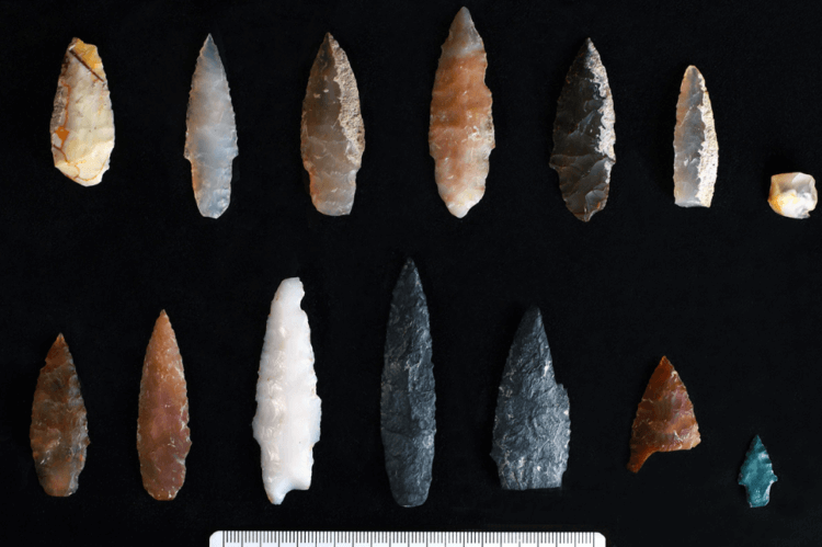 Археологи обнаружили самые первые инструменты древних индейцев. Ученые обнаружили наконечники древних индейцев, возраст которых составляет 16000 лет. Фото.