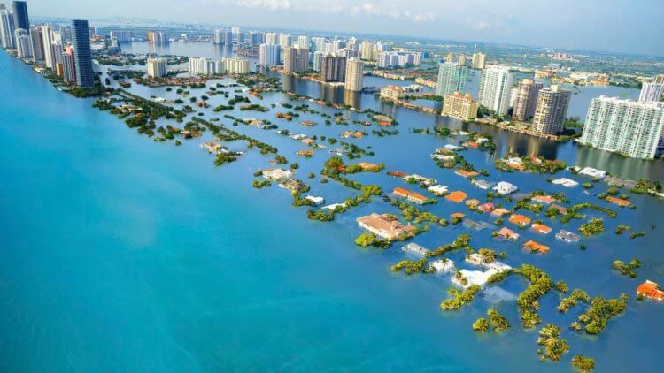 Побережье США будет затоплено через 30 лет? Ученые предупреждают о быстром повышении уровня воды в мировом океане. Фото.