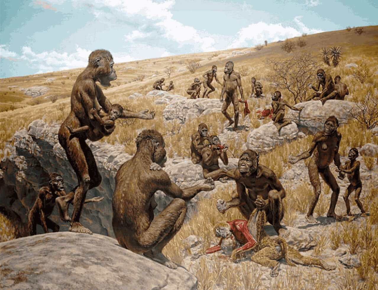 Где предки человека научились ходить на двух ногах. Стопа у предков людей, в любом случае, могла появиться только на земле. Фото.