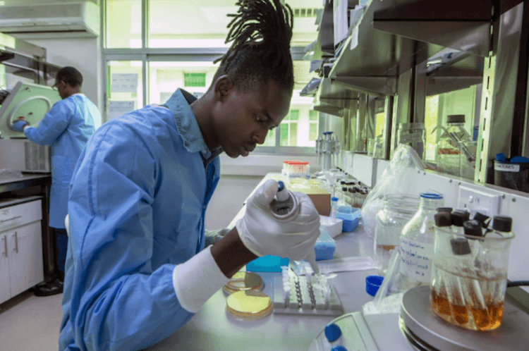 Где ученые находят бактериофаги. Сотрудники Кенийского медицинского исследовательского института обнаружили уже более 150 фагов, способных уничтожать бактерии, устойчивые к лекарственным препаратам. Фото.