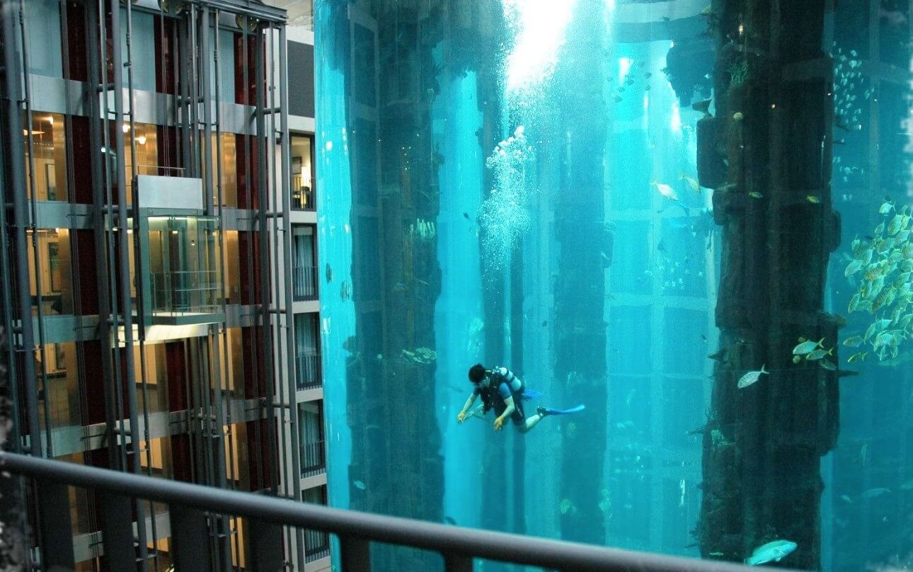 Размеры аквариума AquaDom. Аквалангист чистит аквариум AquaDom. Фото.