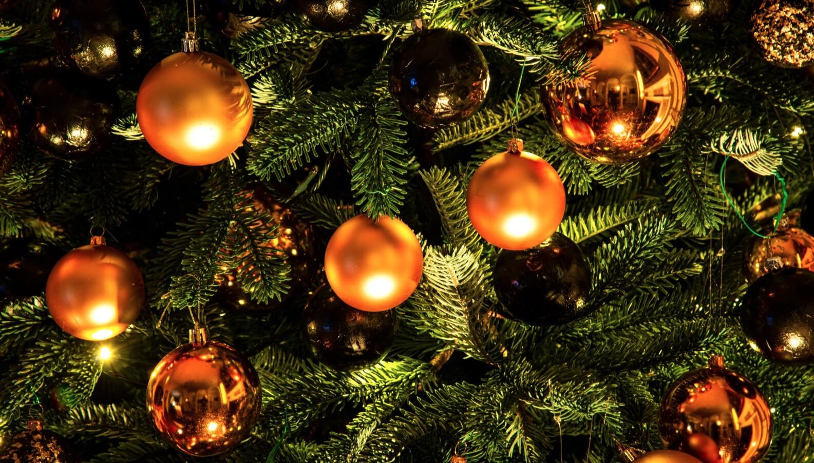 Почему людям нужно отказаться от новогодней елки и чем ее заменить