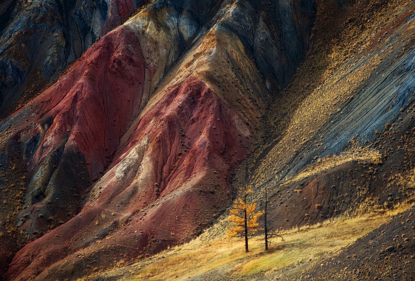 Китайская гора Дэнксия. На цветных горах Китая растут деревья и обитают некоторые виды животных. Фото.