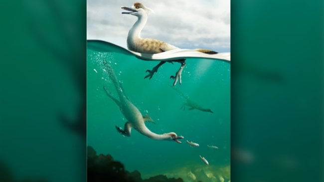 Умели ли сухопутные динозавры плавать? Фото.