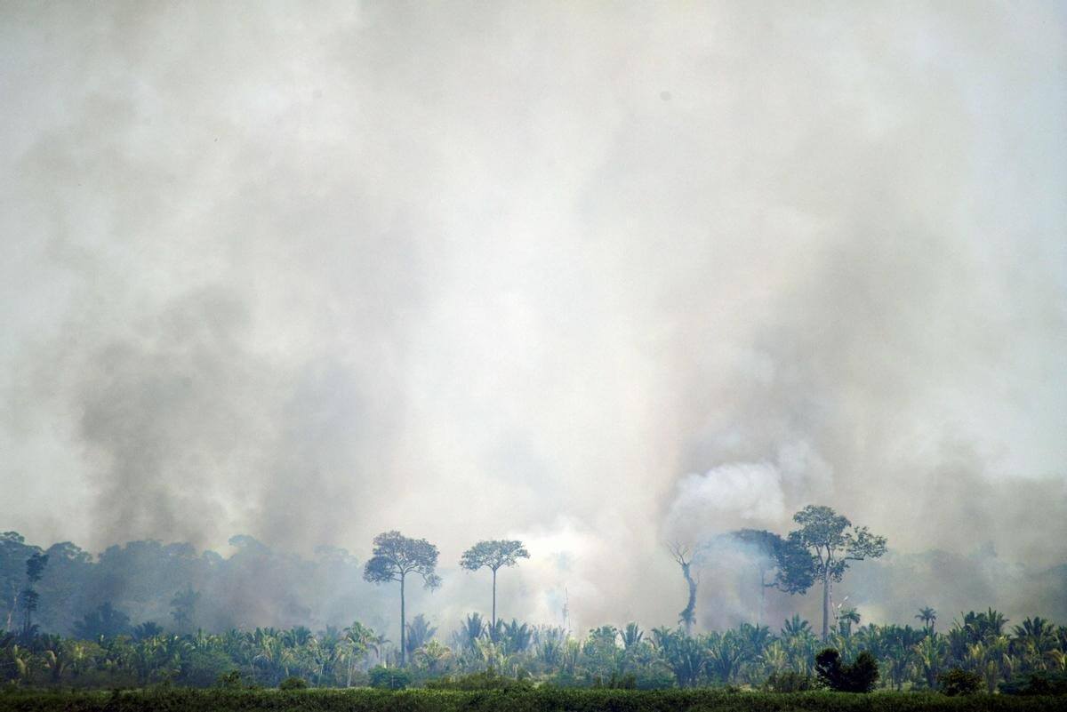 Экология Земли в 2022 году. Пожар в Амазонском лесу. Фото.