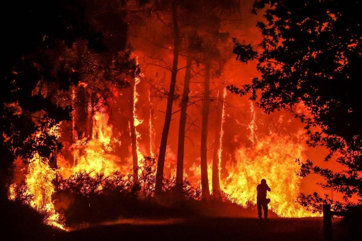 Экология Земли в 2022 году. Лесной пожар во Франции. Фото.