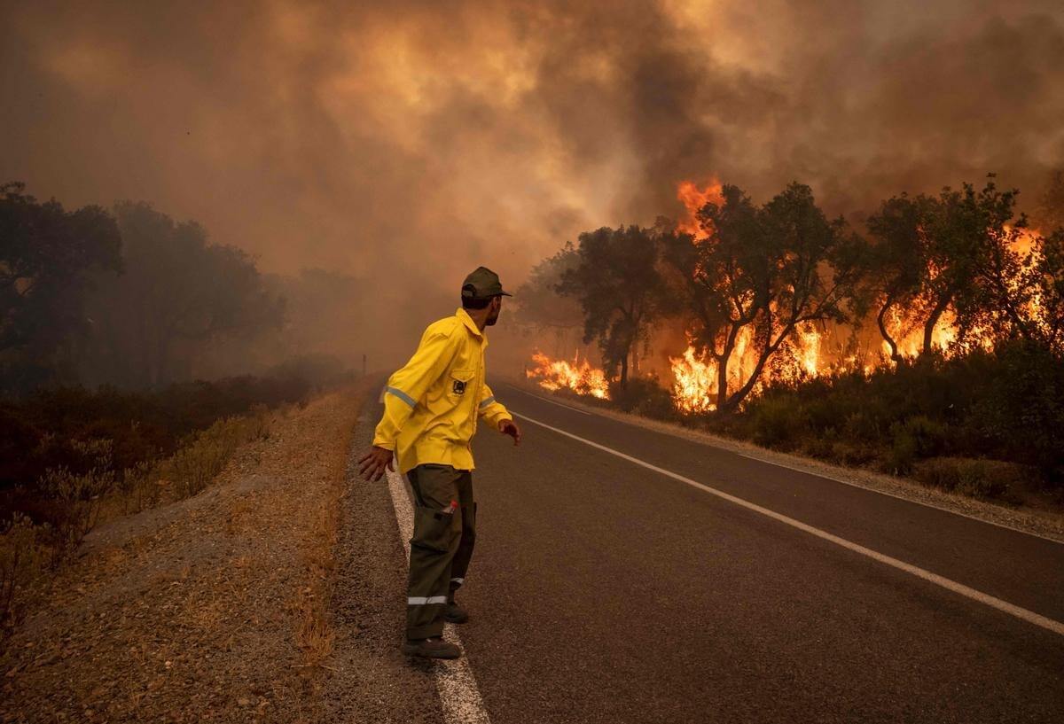 Экология Земли в 2022 году. Лесной пожар в Марокко. Фото.