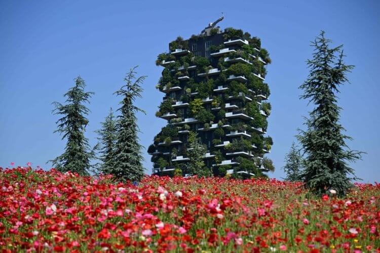 Экология Земли в 2022 году. Часть ботанического сада «Библиотека деревьев» в Италии. Фото.