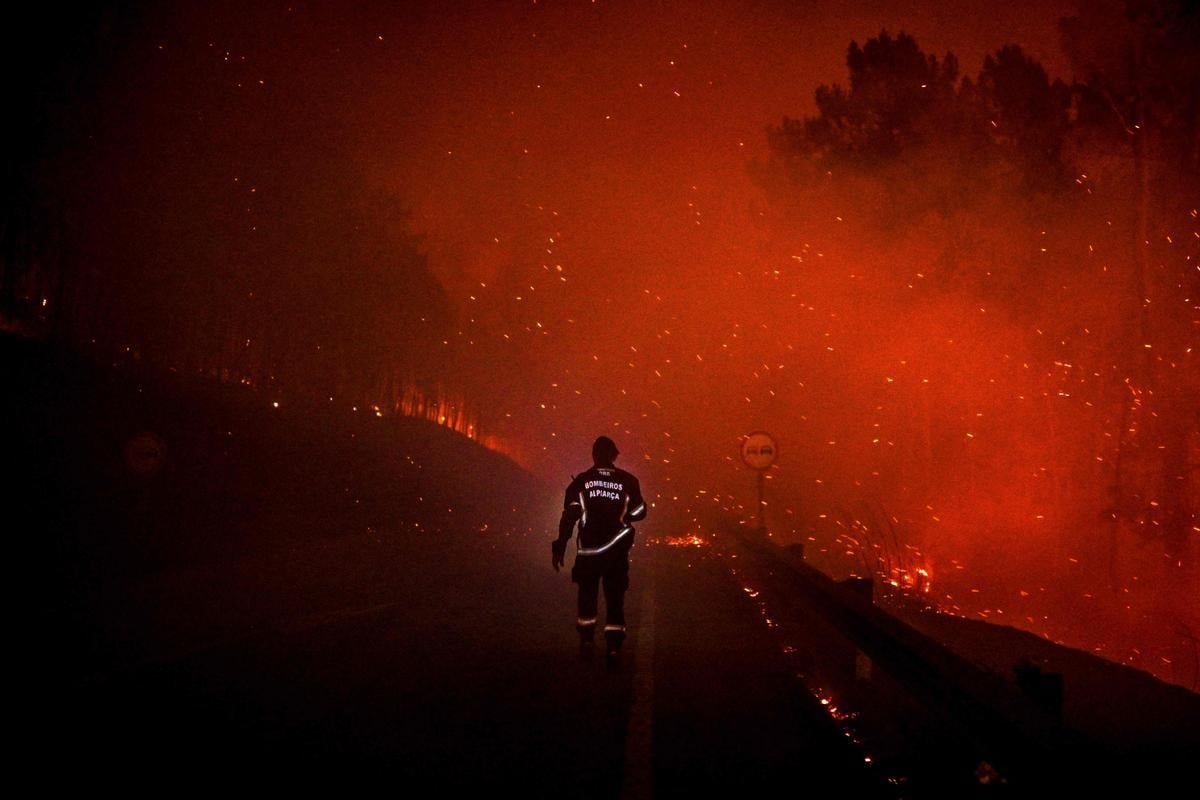 Экология Земли в 2022 году. Тушение лесного пожара в Португалии. Фото.