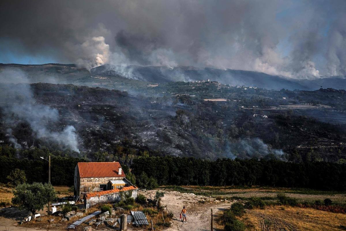 Экология Земли в 2022 году. Лесной пожар в Португалии. Фото.