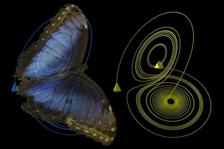 Погружение в теорию хаоса – непредсказуемость и эффект бабочки