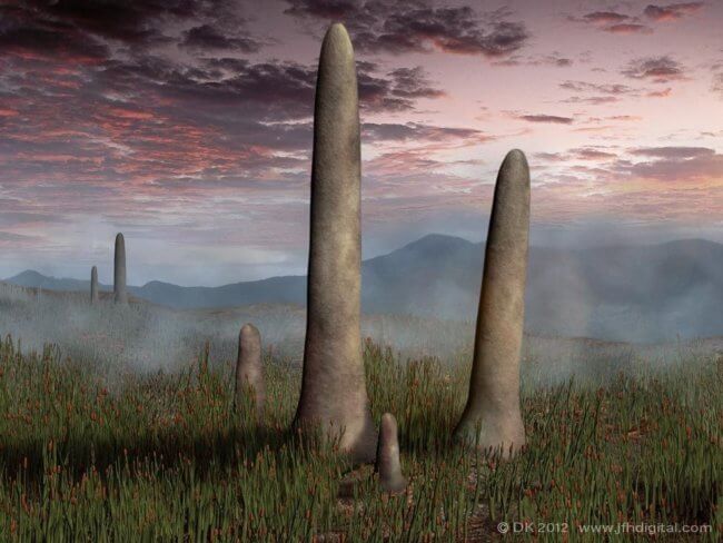 7 фактов о гигантских грибах, которые росли на доисторической Земле. Фото.