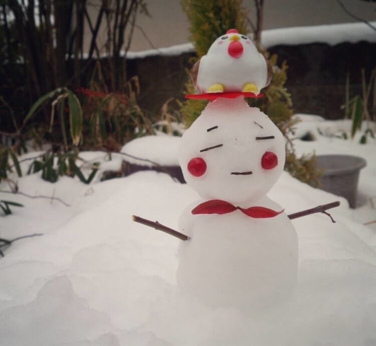 Почему снеговик так называется. Снеговики в Японии выглядят не так, как у нас. Фото.