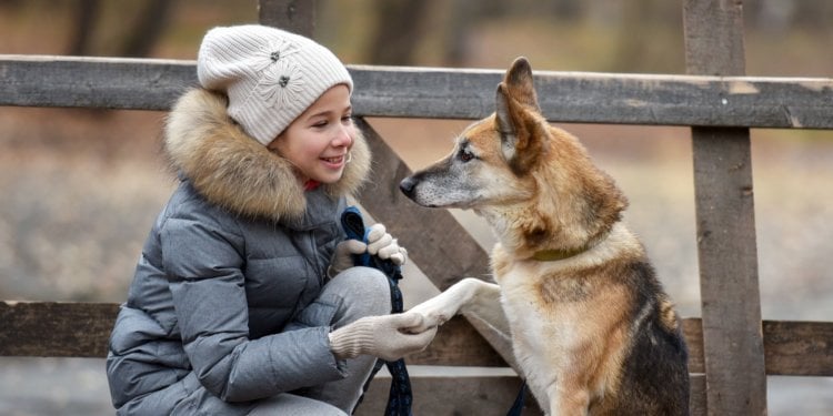 Как разговаривать с животными и понимать их? Общение с животными делает нас счастливыми. Фото.