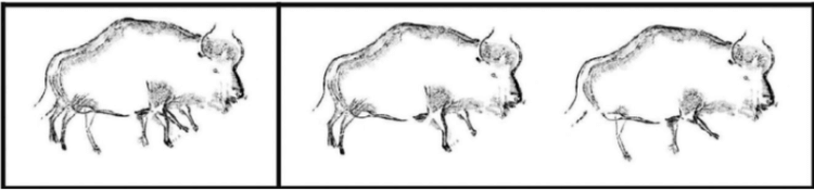 Наскальная живопись могла быть анимацией. Наскальный рисунок движущегося бизона, возможно, является свидетельством древней анимации. Фото.
