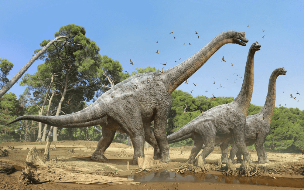 Мозг динозавров был таким же сложным, как у птиц? У брахиозавров мозг был подобен современным рептилиям. Фото.