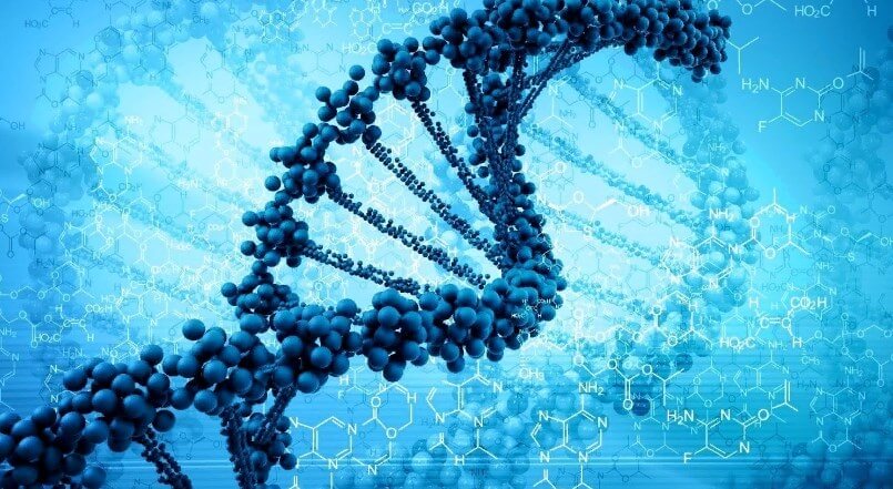Ученые разработали способ диагностики рака при помощи искусственного интеллекта. Ученые разработали новый тест рака на основе ДНК и искусственного интеллекта. Фото.