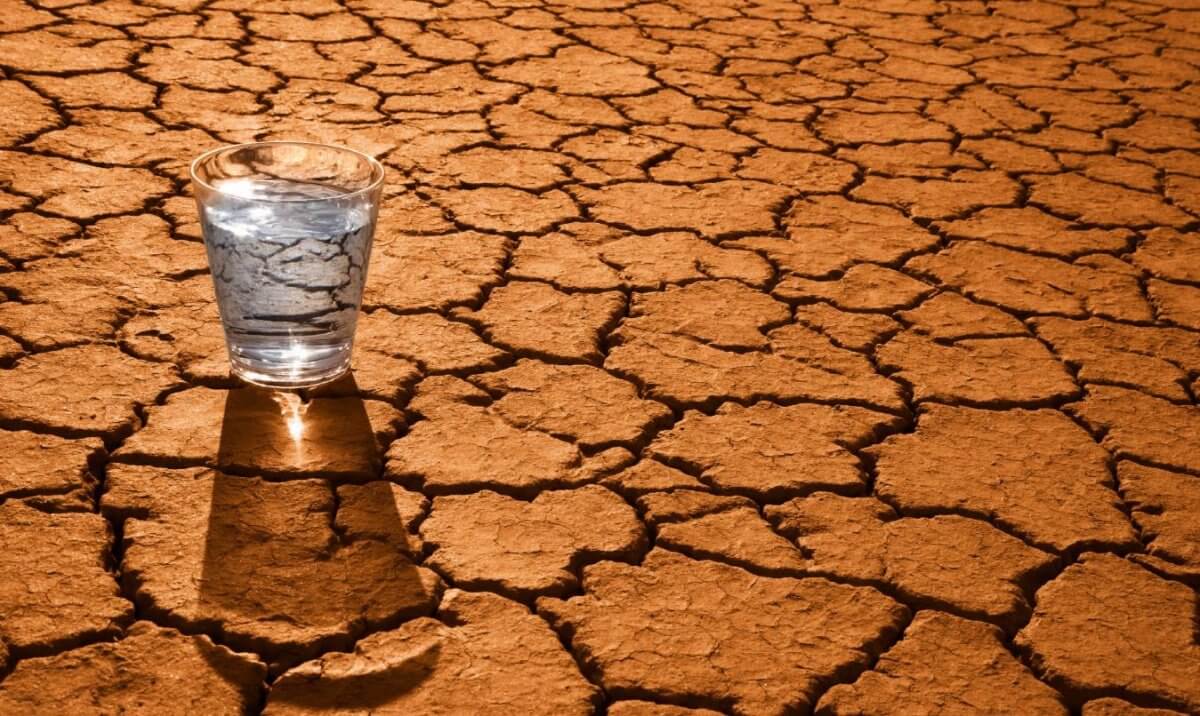 Почему возник кризис пресной воды. Масштабные засухи стали частым явлением в самых разных районах планеты. Фото.