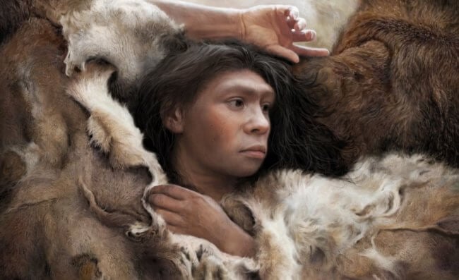 Порезы на костях показали, во что одевались древние люди 320 000 лет назад. Фото.