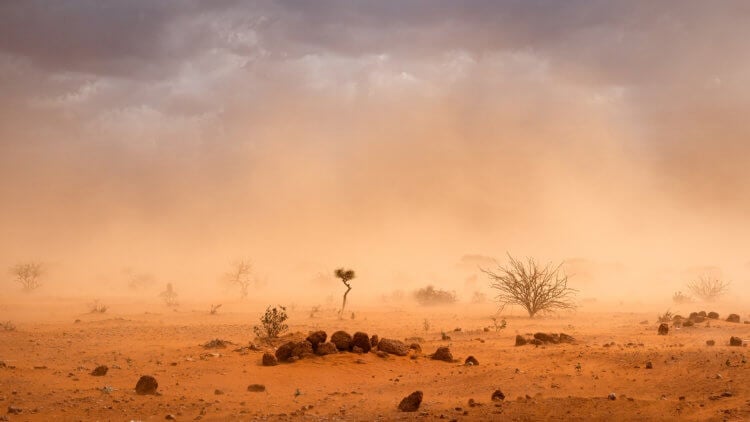 Климатическая обстановка. Засуха уже привела к масштабным климатическим миграциям в ряде стран Африки. Фото.