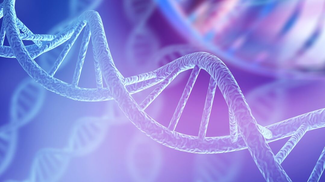 Генеалогическое древо по ДНК. Ученые использовали ДНК тысяч людей, чтобы создать самое большое генеалогическое древо. Фото.