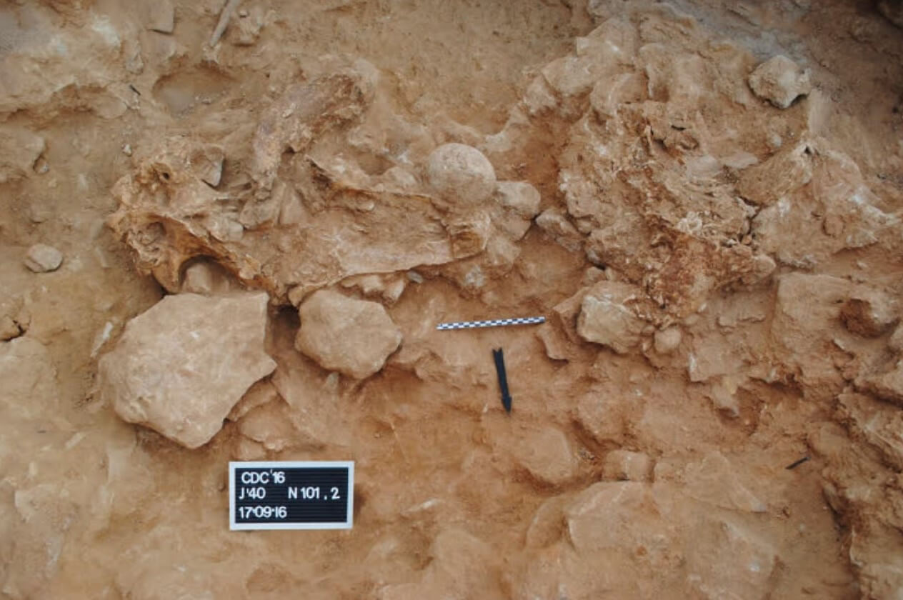 Ритуалы неандертальцев. Место обнаружения черепа носорога в пещере Куэва Дэс-Кубьерта. Фото.