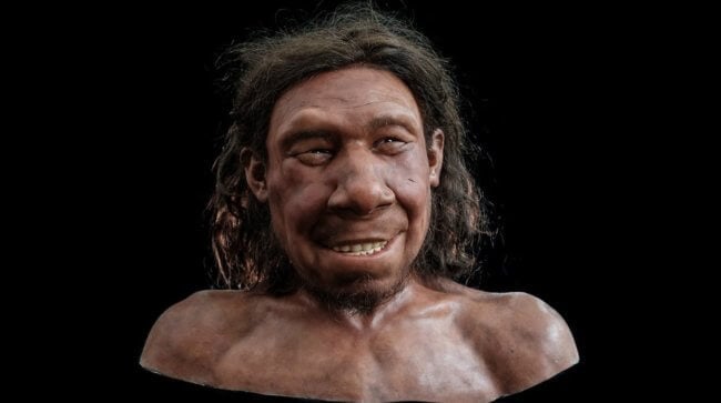 Для чего неандертальцы собирали «коллекции» из черепов животных. Фото.