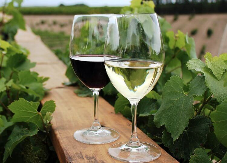 Почему вино с возрастом становится лучше. Состариванию подлежит далеко не каждое вино. Фото.