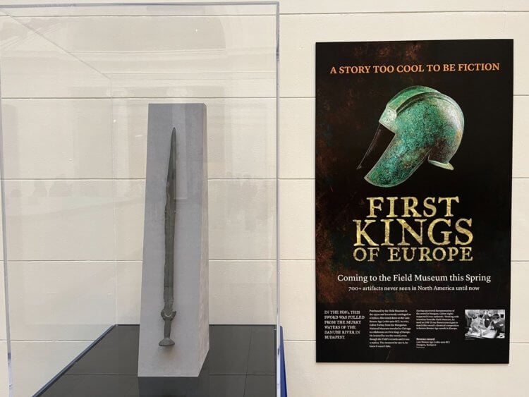 Древнее оружие из бронзы в музее. Древний меч станет главным экспонатом выставки «Первые короли Европы». Фото.