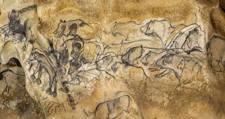 Как выглядели пещерные львы. Изображение охоты древних львов на стене внутри пещеры Шове. Фото.