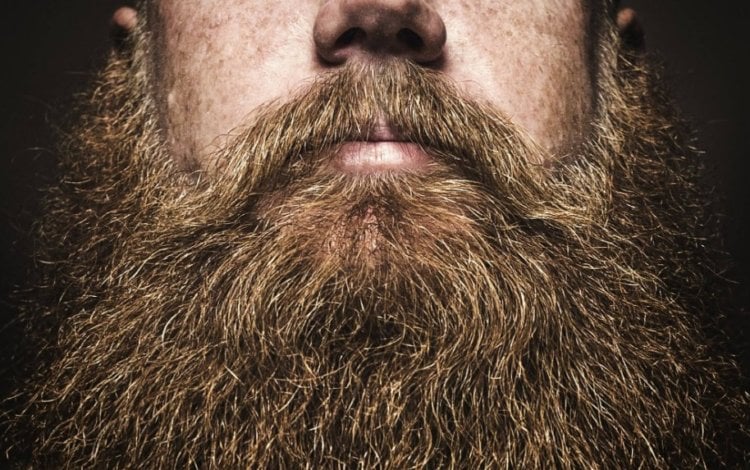Если часто бриться, борода будет лучше расти. Вырастить роскошную бороду не так уж и просто. Фото.