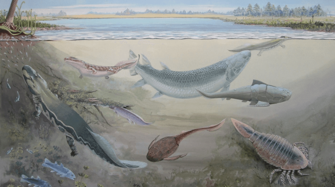 Археологи обнаружили окаменелости гигантской рыбы, охотившейся на предков человека. Ученые обнаружили гигантскую древнюю рыбу, которая питалась четвероногими существами. Фото.