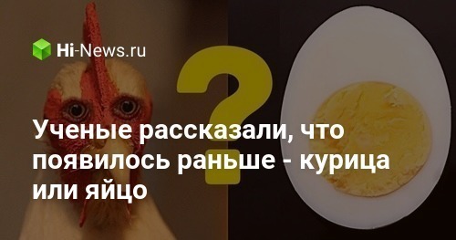 Ученые рассказали, что появилось раньше — курица или яйцо - luchistii-sudak.ru