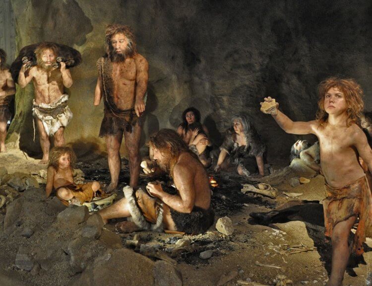 Как особенности обоняния помогали выживать вымершим людям. Нечувствительность к собственному запаху помогала неандертальцам комфортно жить в пещерах большими группами. Фото.