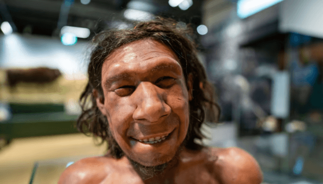 Эволюция помогла неандертальцам не чувствовать запах своего тела. Фото.