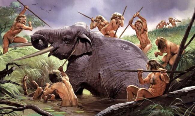 Ученые выяснили, что неандертальцы питались слонами. Фото.