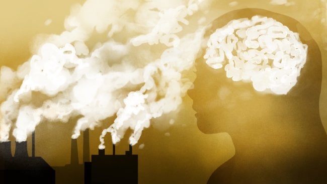 Как выхлопные газы влияют на работу мозга? Фото.