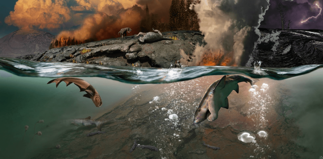 Вымирание на Земле произошло из-за вулканов? Пермско-триасовое вымирание длилось сотни тысяч лет. Фото.