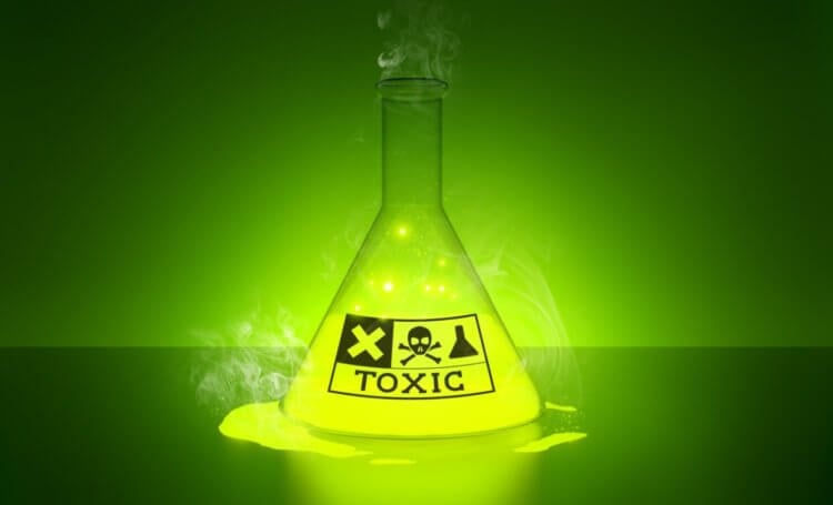 Вечные химикаты могут стать причиной вымирания животных. Некоторое количество вечных химикатов содержится в организме почти каждого человека. Фото.