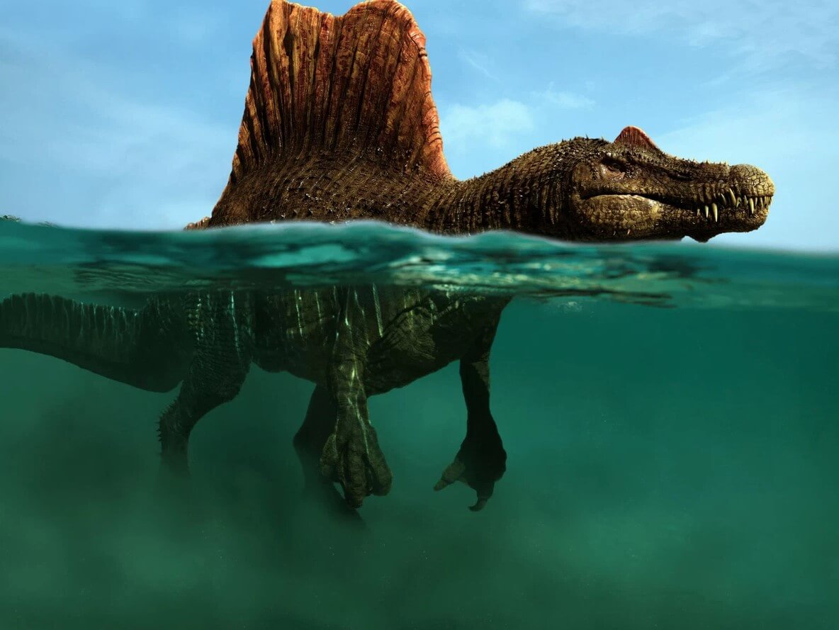 Какими были спинозавры. Ученые считают, что спинозавры вели водный образ жизни. Фото.