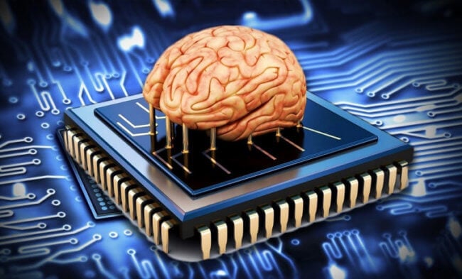 Ученые предлагают делать биокомпьютеры из искусственно выращенных мозгов. Фото.