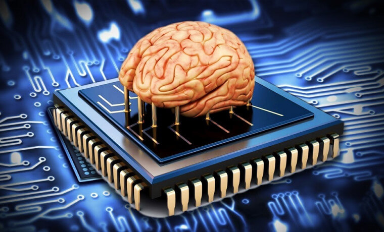 Ученые предлагают делать биокомпьютеры из искусственно выращенных мозгов. Ученые планируют создать биокомпьютер из органоидов мозга. Фото.