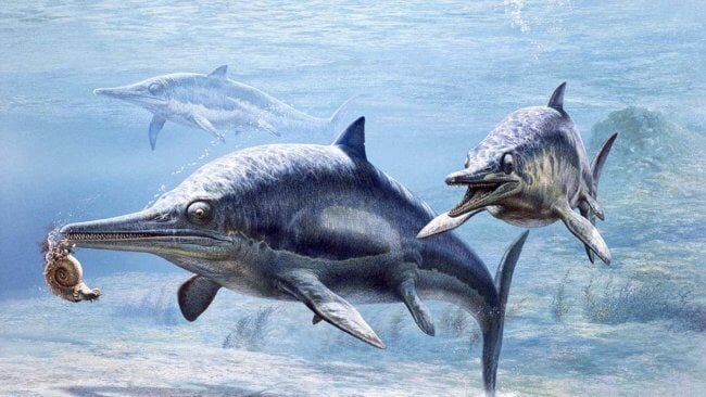 250 миллионов лет назад на Земле существовали гигантские рыбы-ящерицы. Фото.