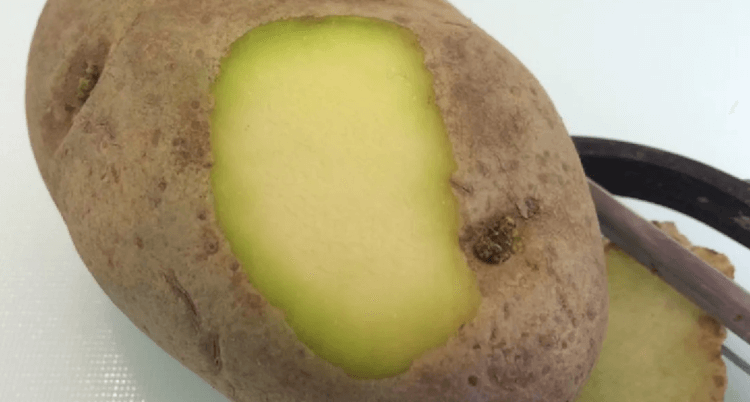 Как обнаружить опасные овощи и фрукты. Ученые предлагают определять опасный картофель при помощи красителей и смартфона. Фото.