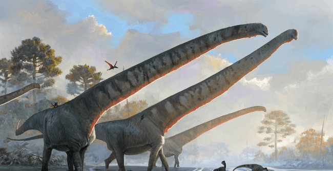 На территории Китая жил динозавр с 15-метровой шеей. Фото.