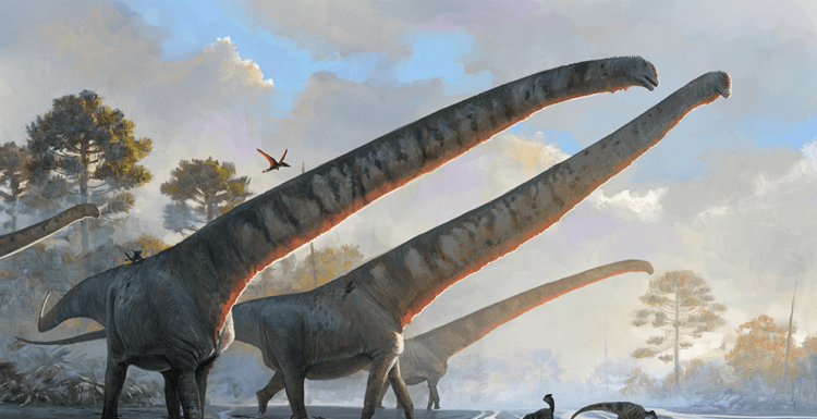 На территории Китая жил динозавр с 15-метровой шеей. Динозавр M. sinocanadorum — животное с самой длинно шеей в истории. Фото.