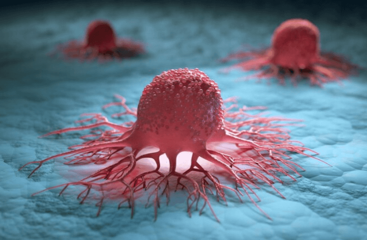 Как действует препарат от онкологии. Новые методы лечения рака воздействуют непосредственно на злокачественные клетки. Фото.