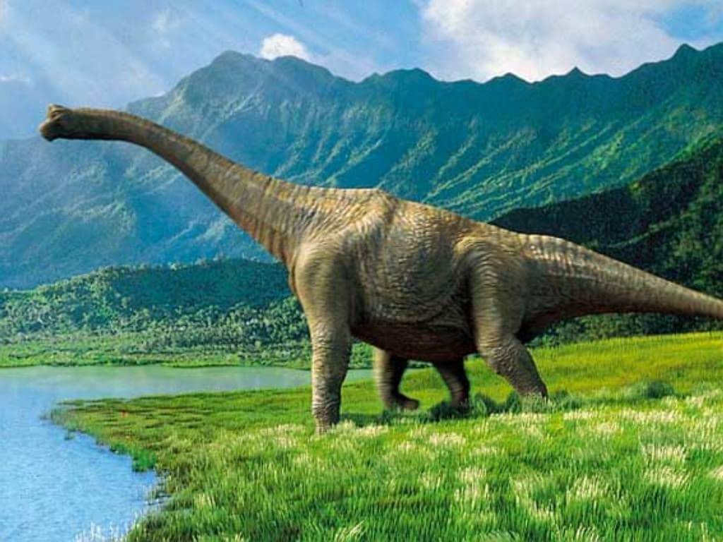Как ученые восстановили внешность динозавра. Длинная шея давала зауроподам несколько преимуществ. Фото.